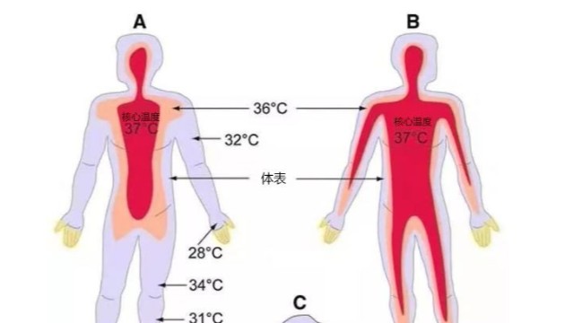 工業紅外測溫儀-便攜式熱成像測溫儀能用于體溫檢測嗎？